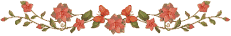 Fla 3.PNG 3 1 4 1